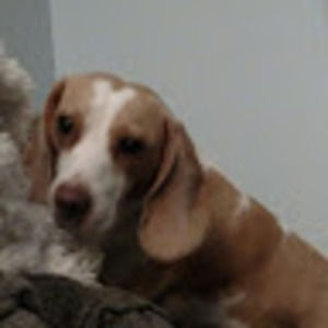 Meet your Posher, Anita